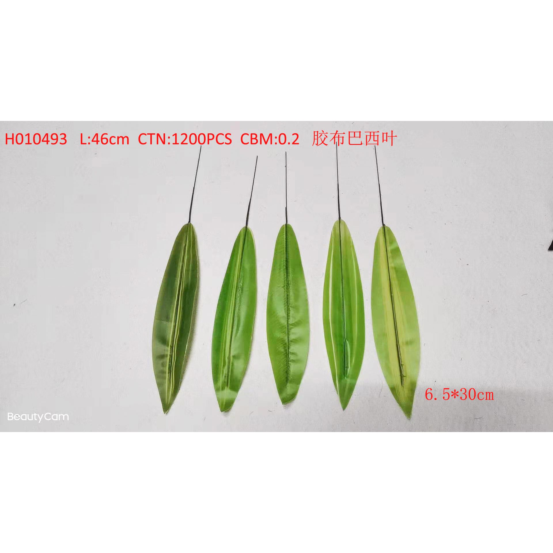 Adhesive Brazil leaf H010493