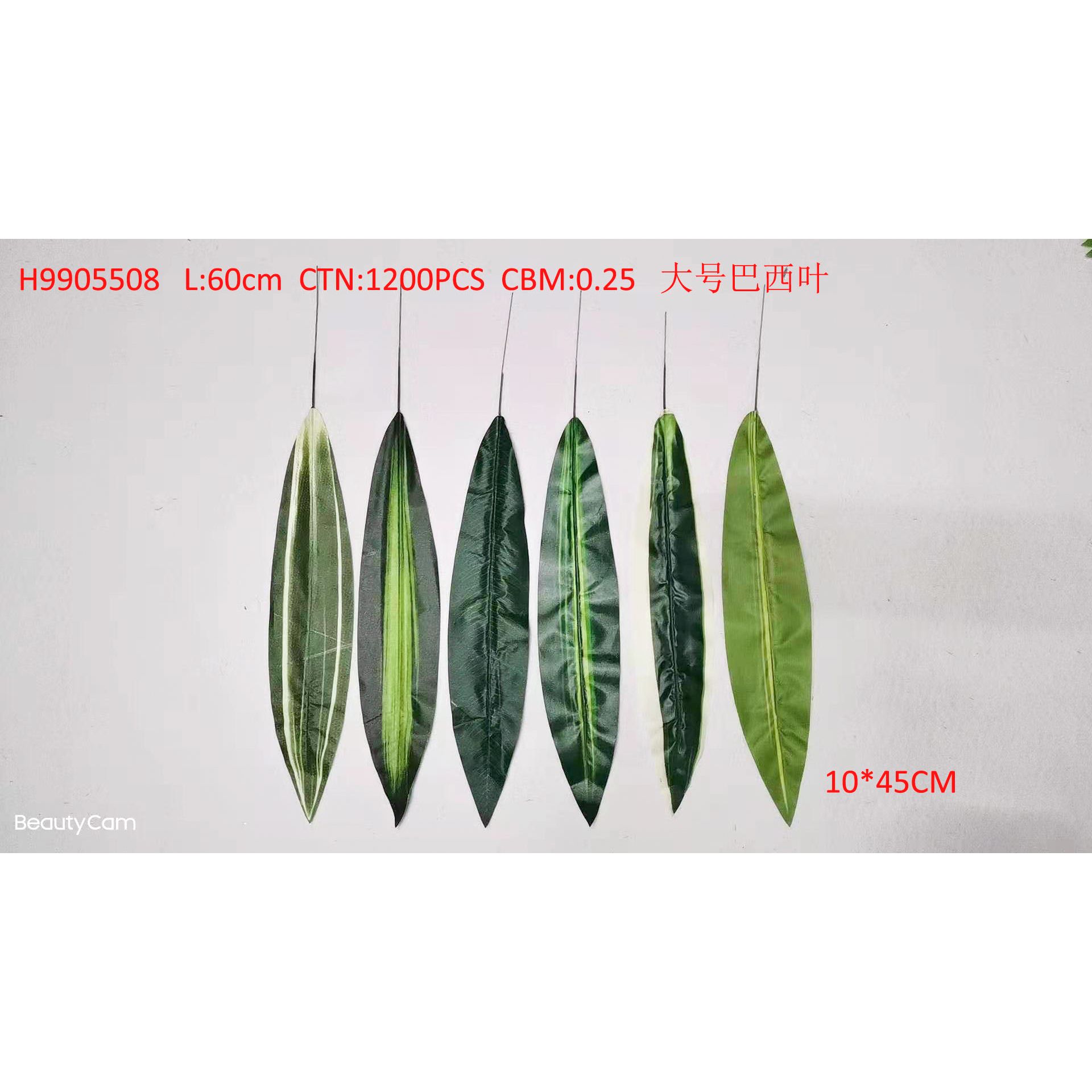 Large Brazil leaf H9905508