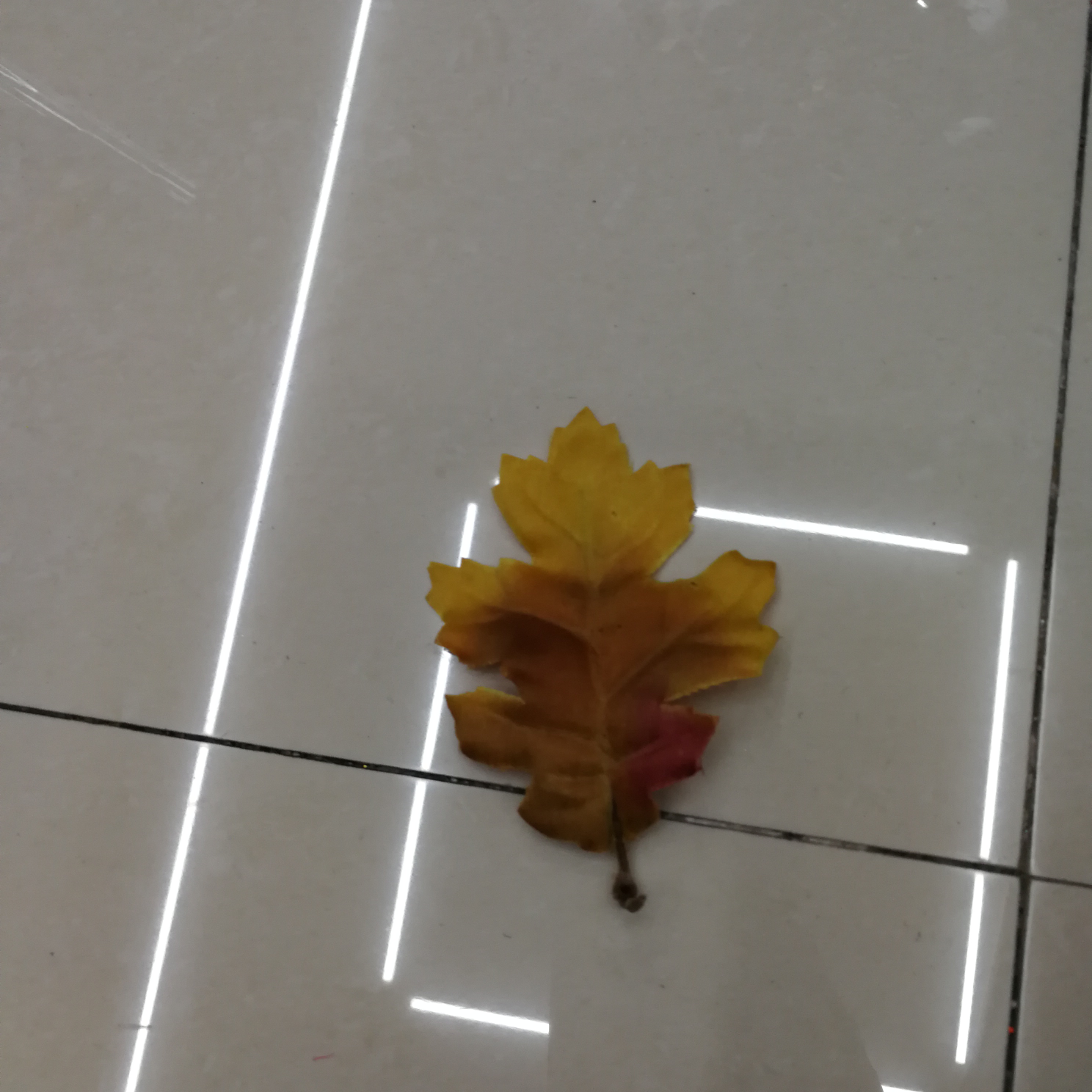 Red autumn leaf grass