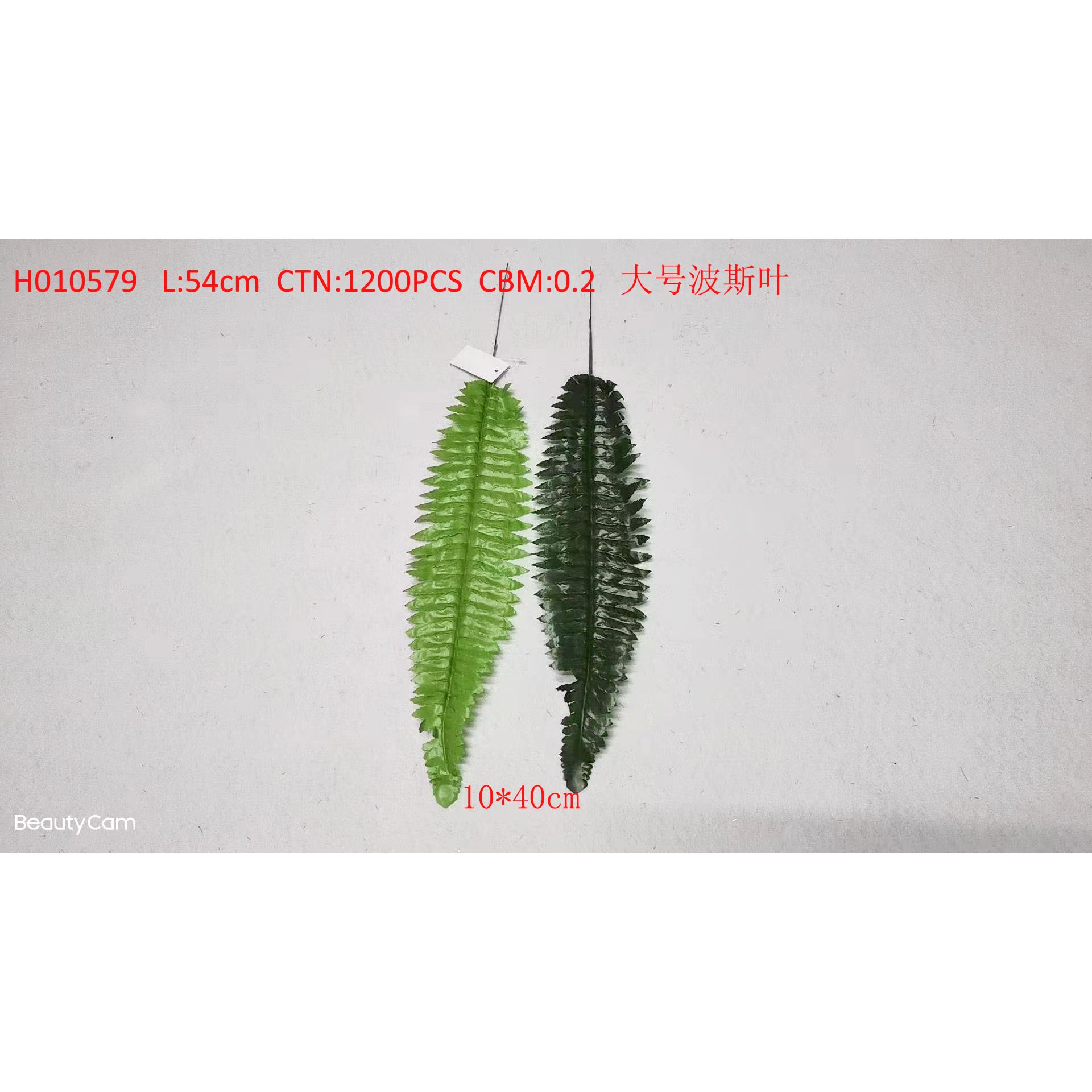 Large Persian leaf H010579