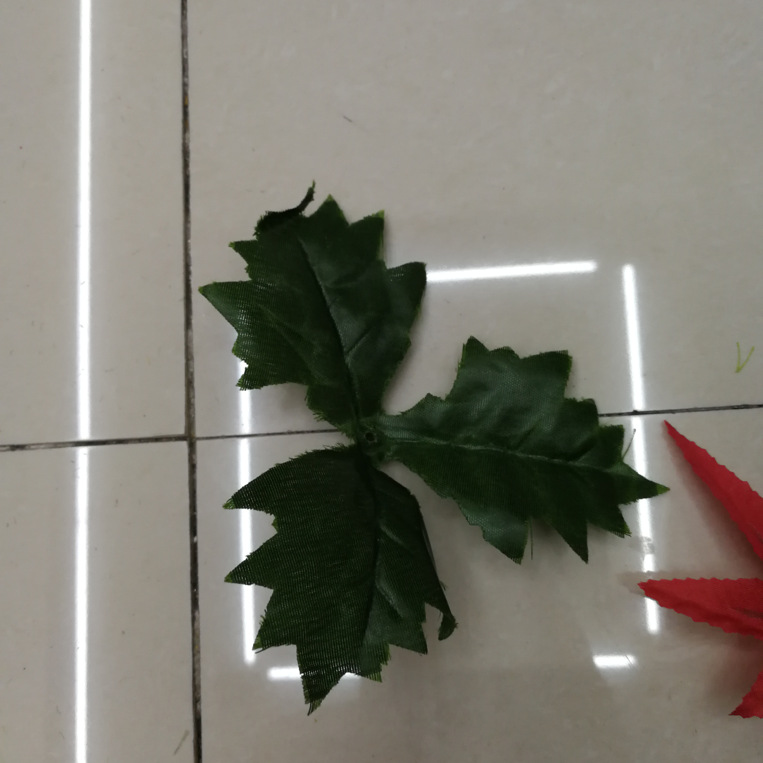 三叶三叶草