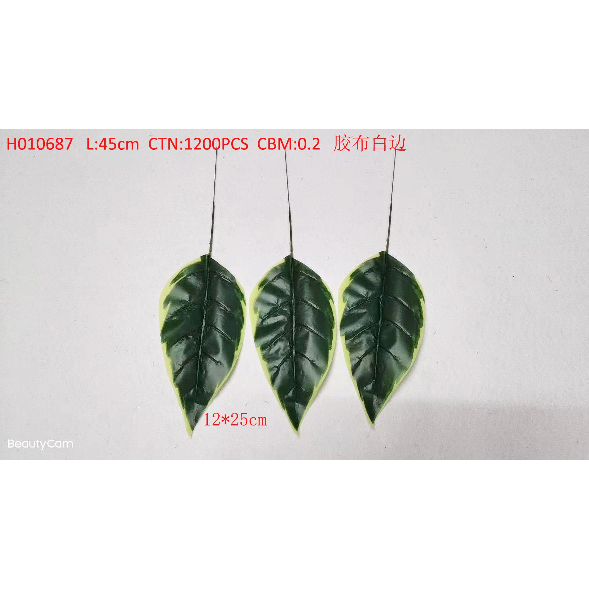 Tape white edge H010687
