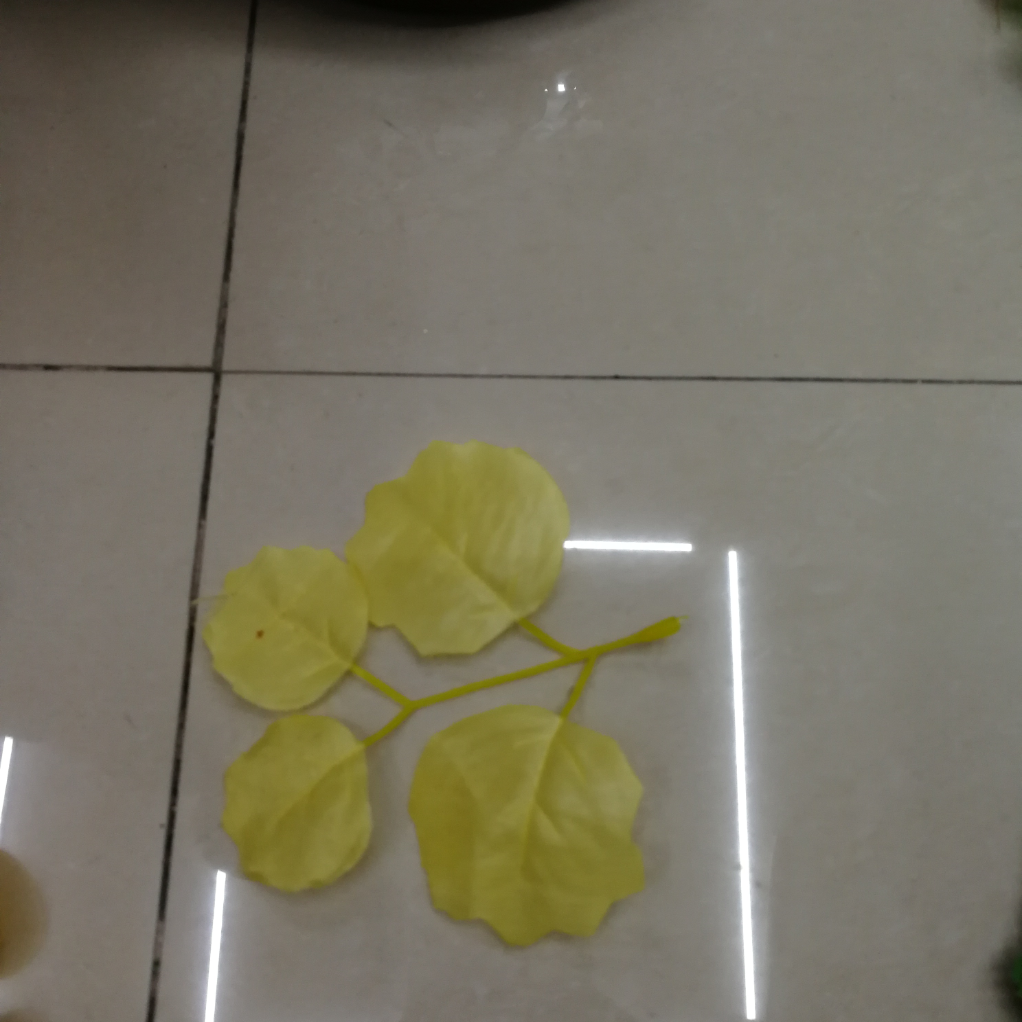 Four small yellow leaves