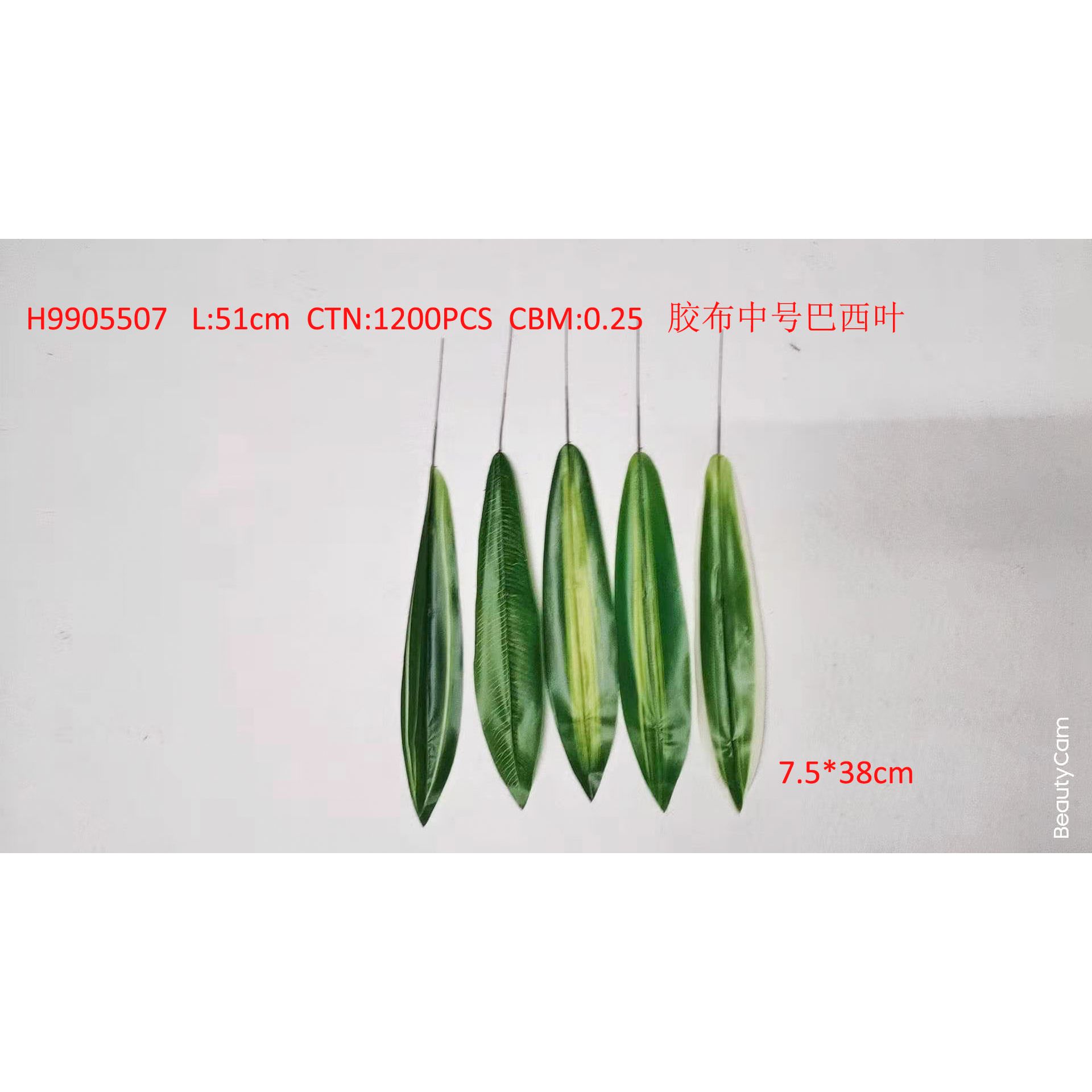 Tape medium Brazilian leaf H9905507