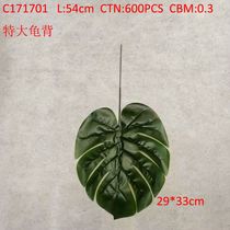 Jumbo turtle back C171701
