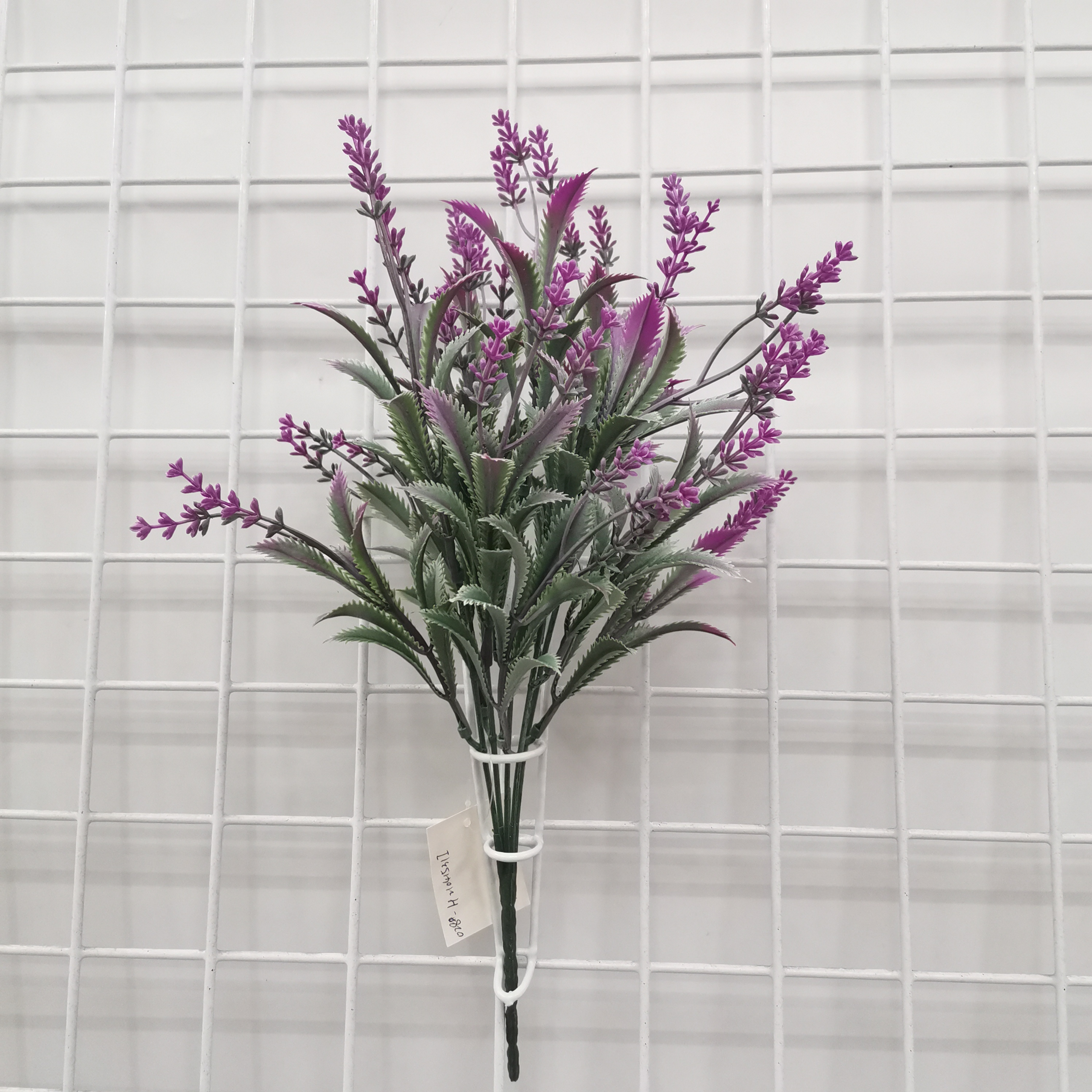 玫红麦冬草