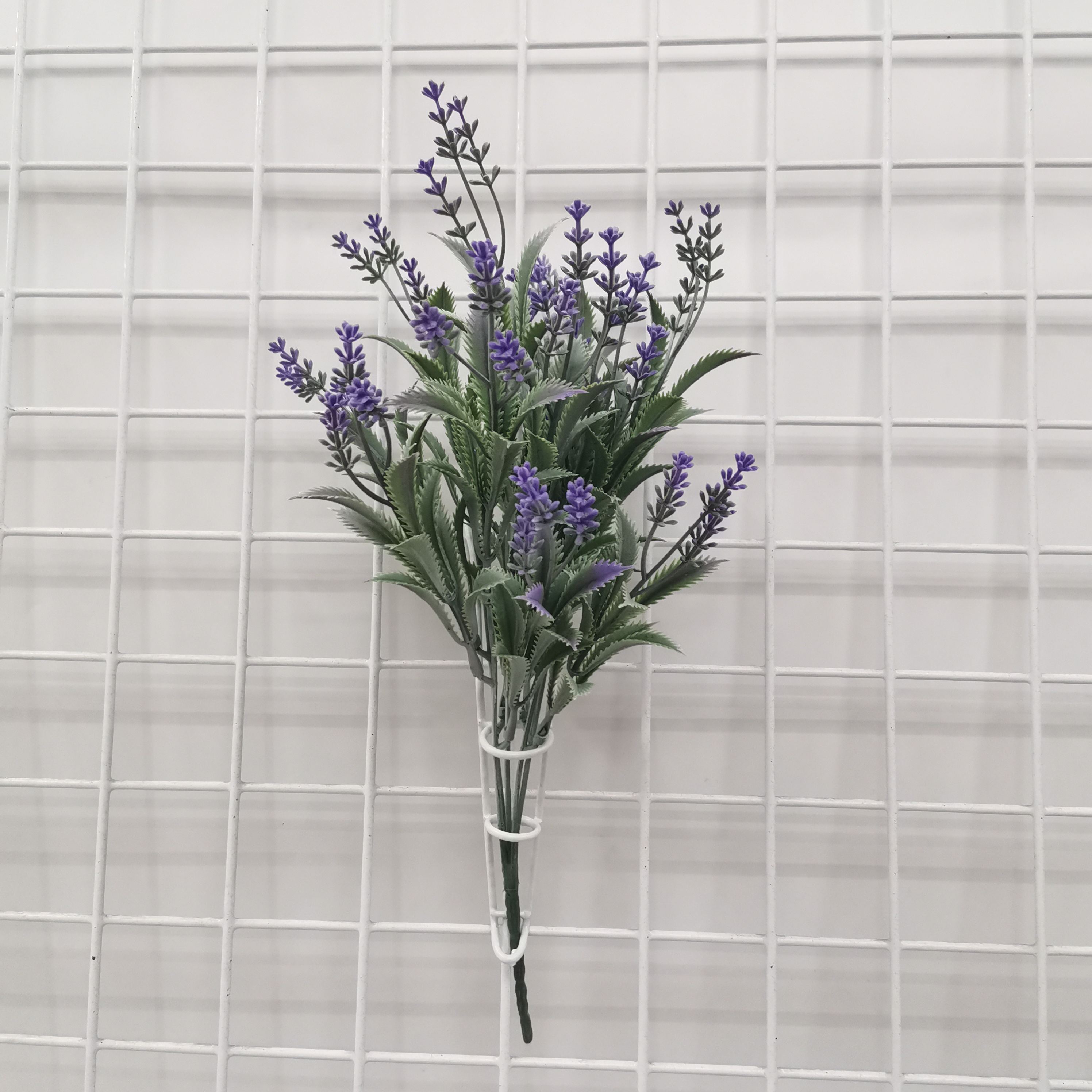 紫色麦冬草