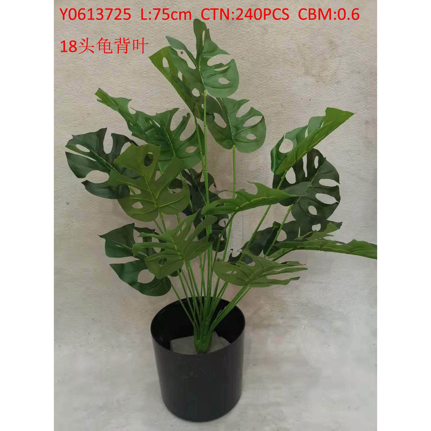 12 turtle back leaves Y0613725