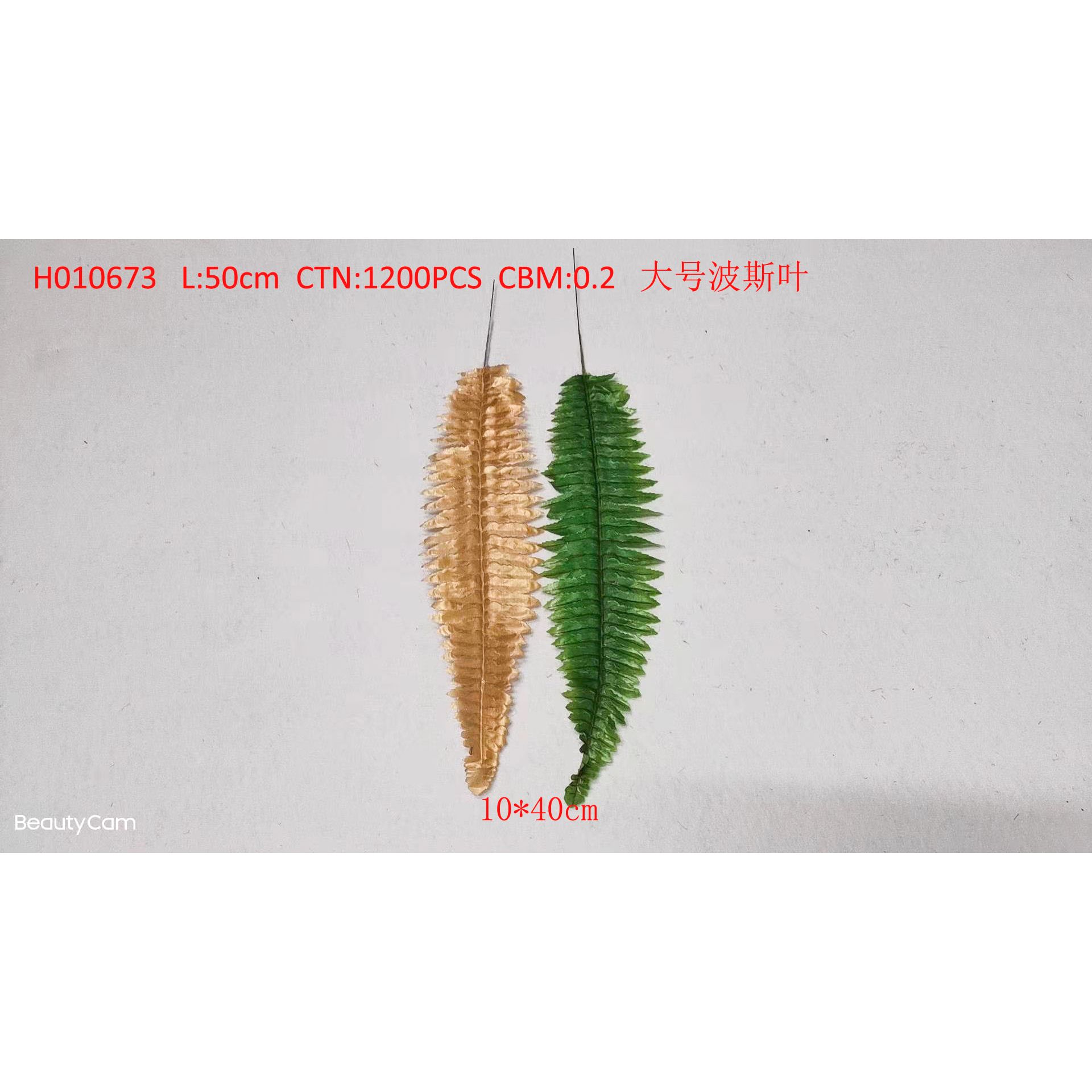 Large Persian leaf H010673