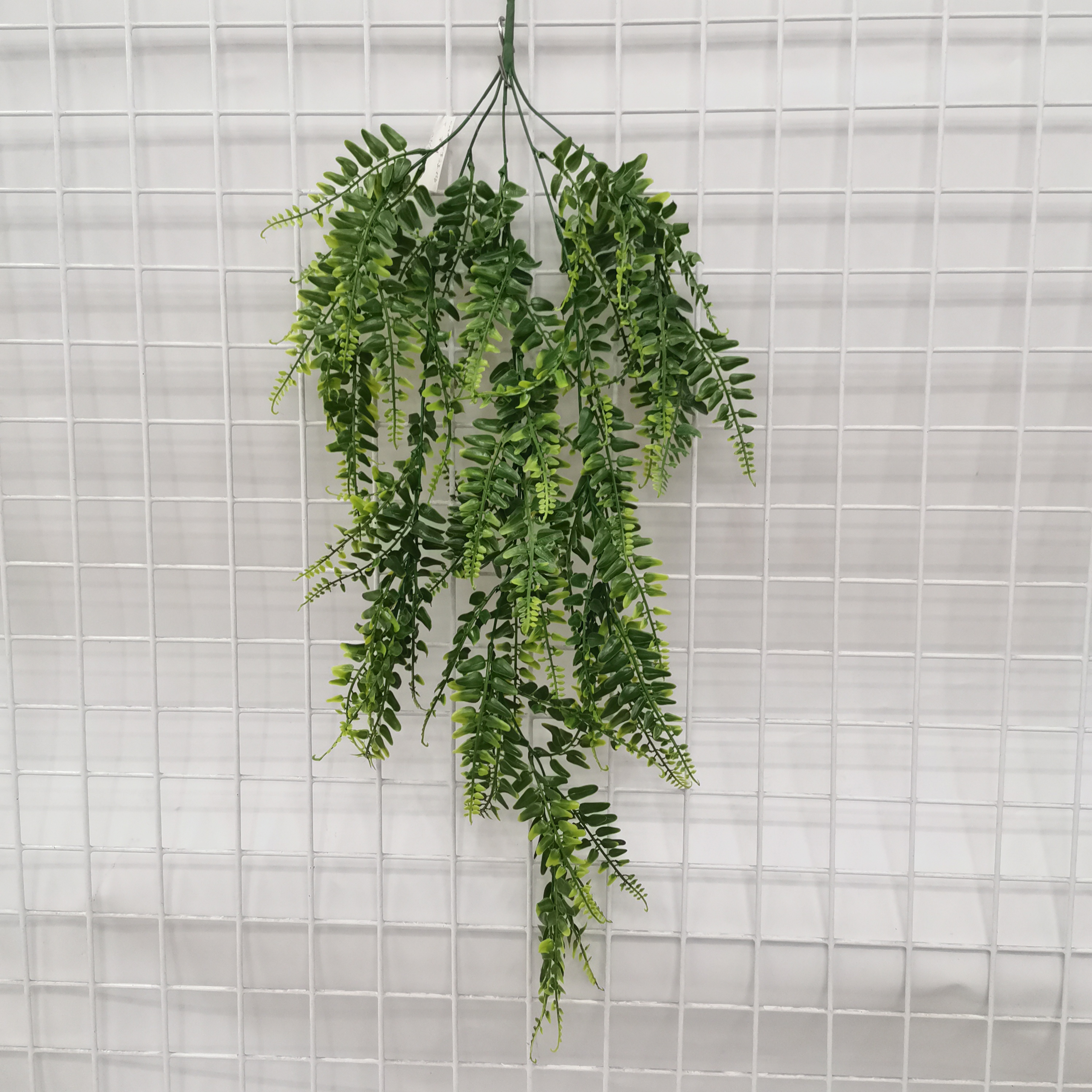 5叉排草挂