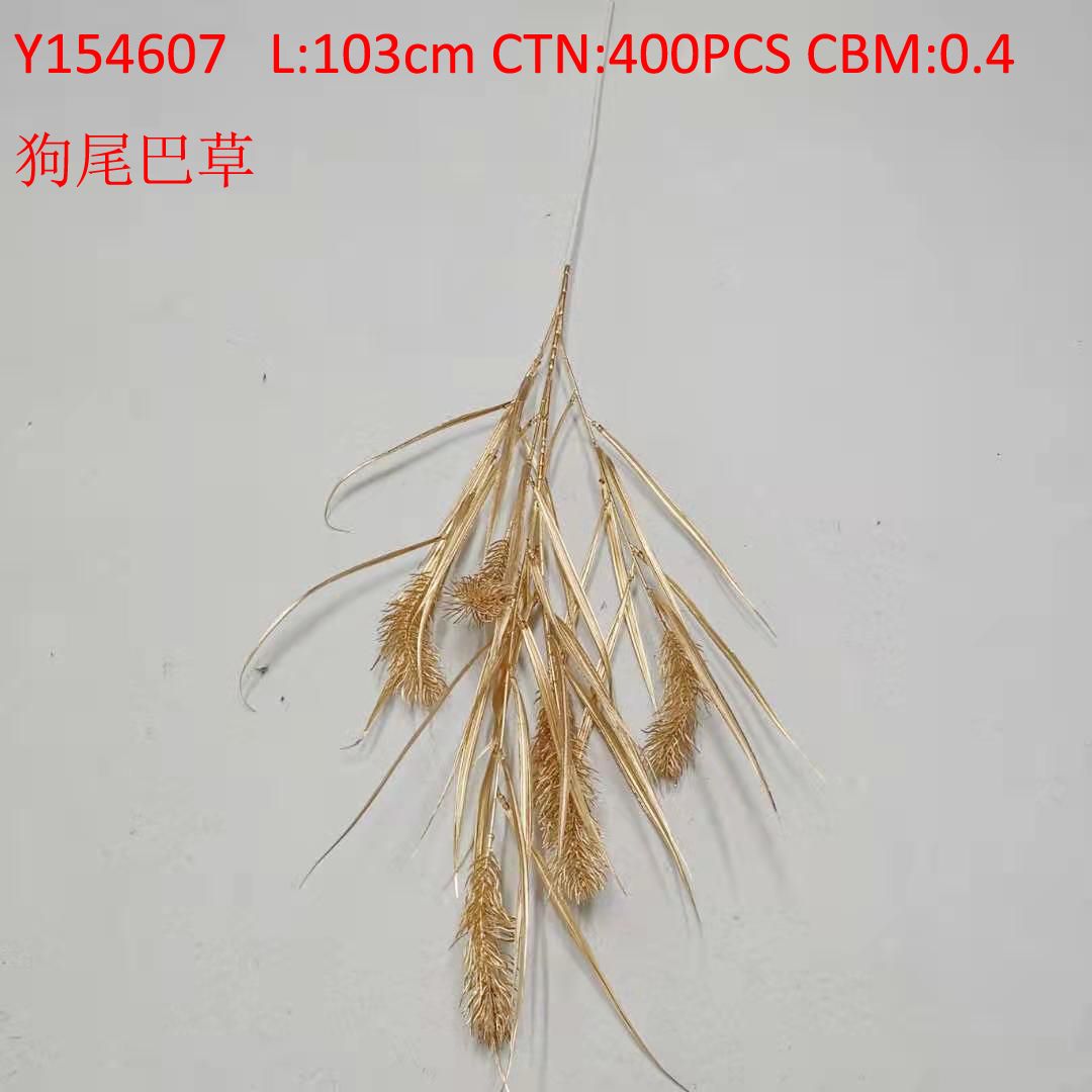 狗尾巴草 Y154607