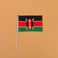 14*21肯尼亚8号手摇旗带杆子外国世界旗图