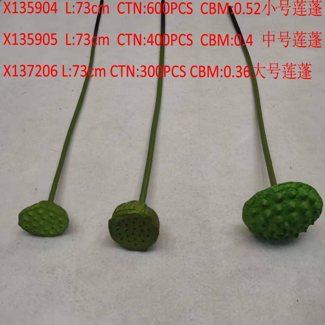 Small lotus seed X135904
