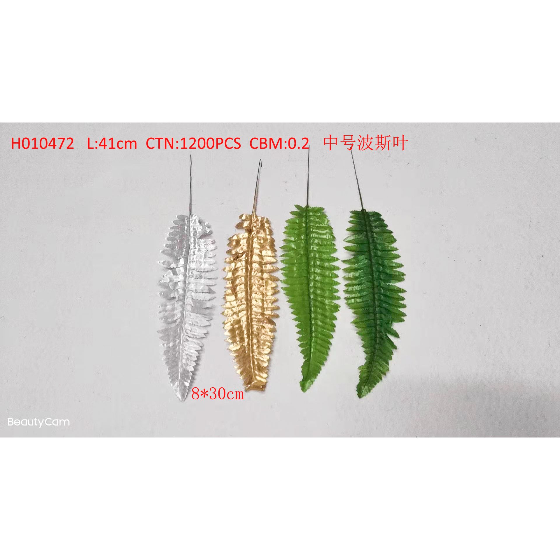 Medium Persian leaf H010472