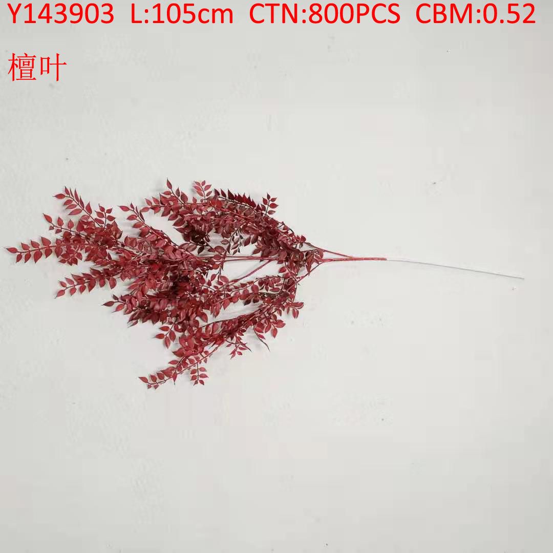 Sandalwood leaf Y143903