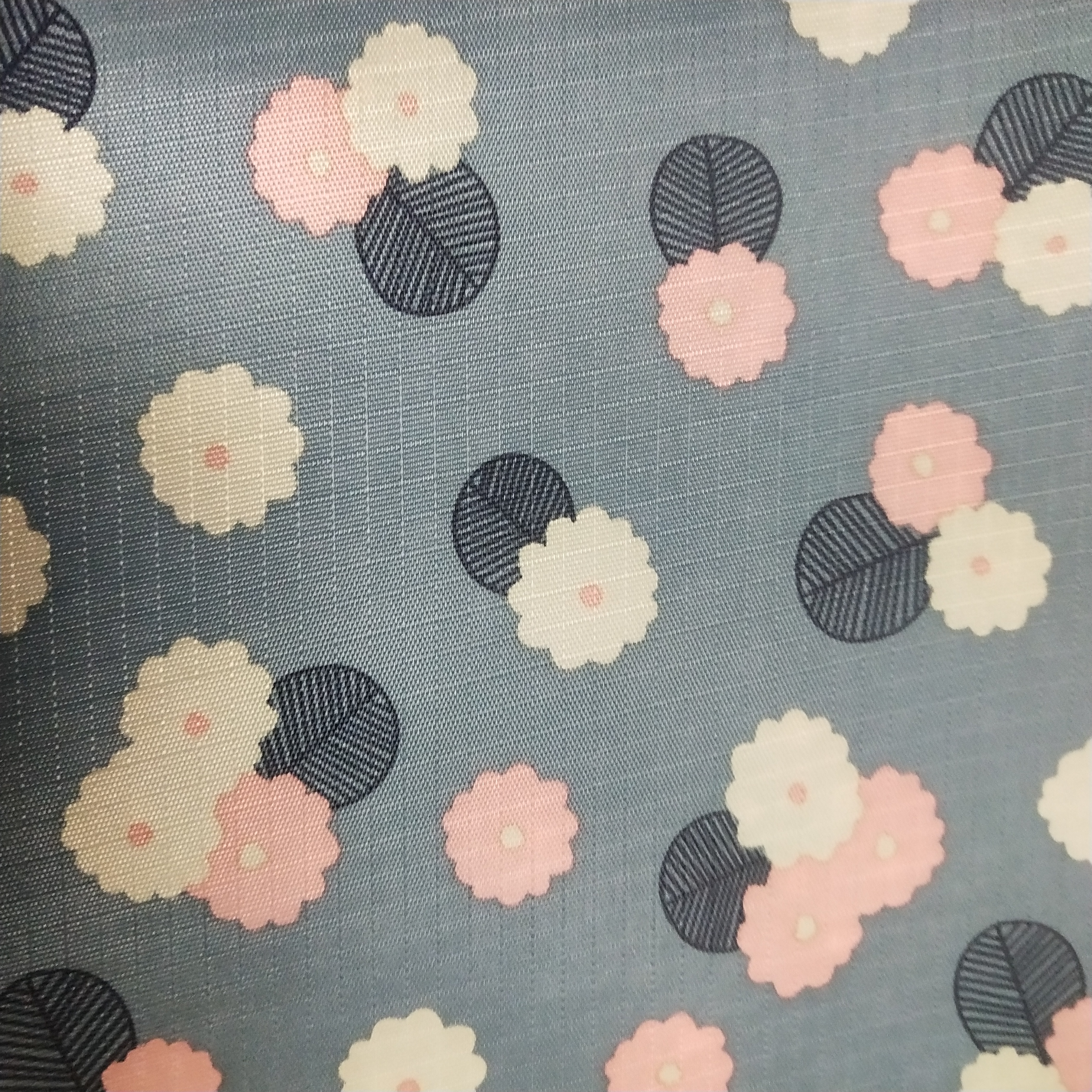 兰花朵