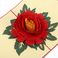 厂家批发创意3D立体贺卡情人教师节纸质牡丹鲜花感谢祝福礼物贺卡细节图