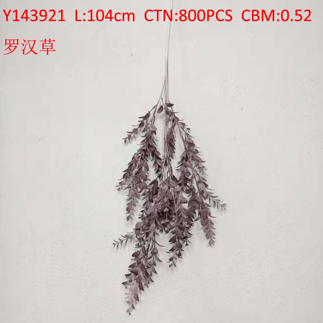 Monk grass Y143921