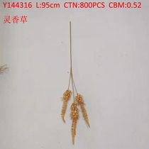 Spirit vanilla Y144316