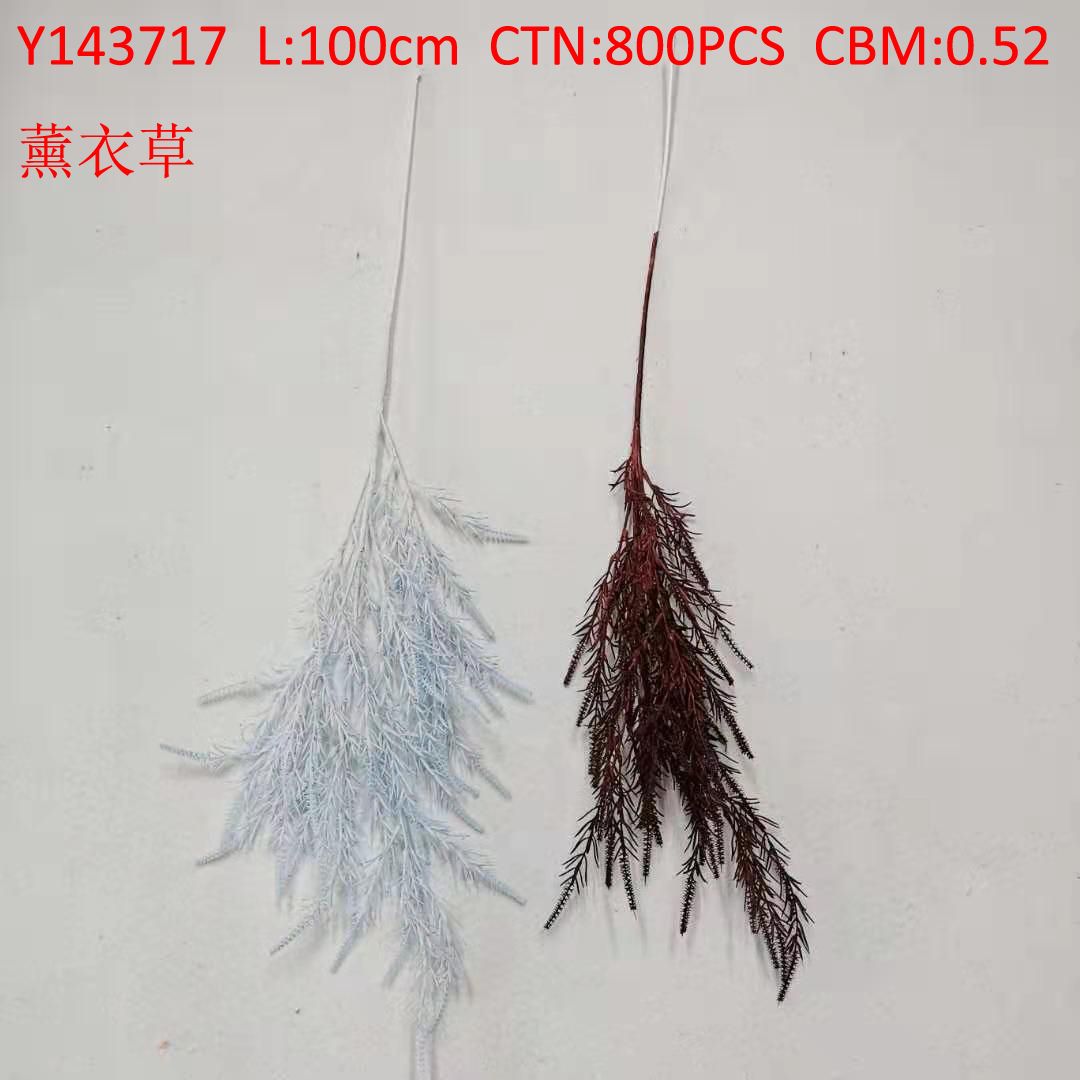 Lavender Y143717