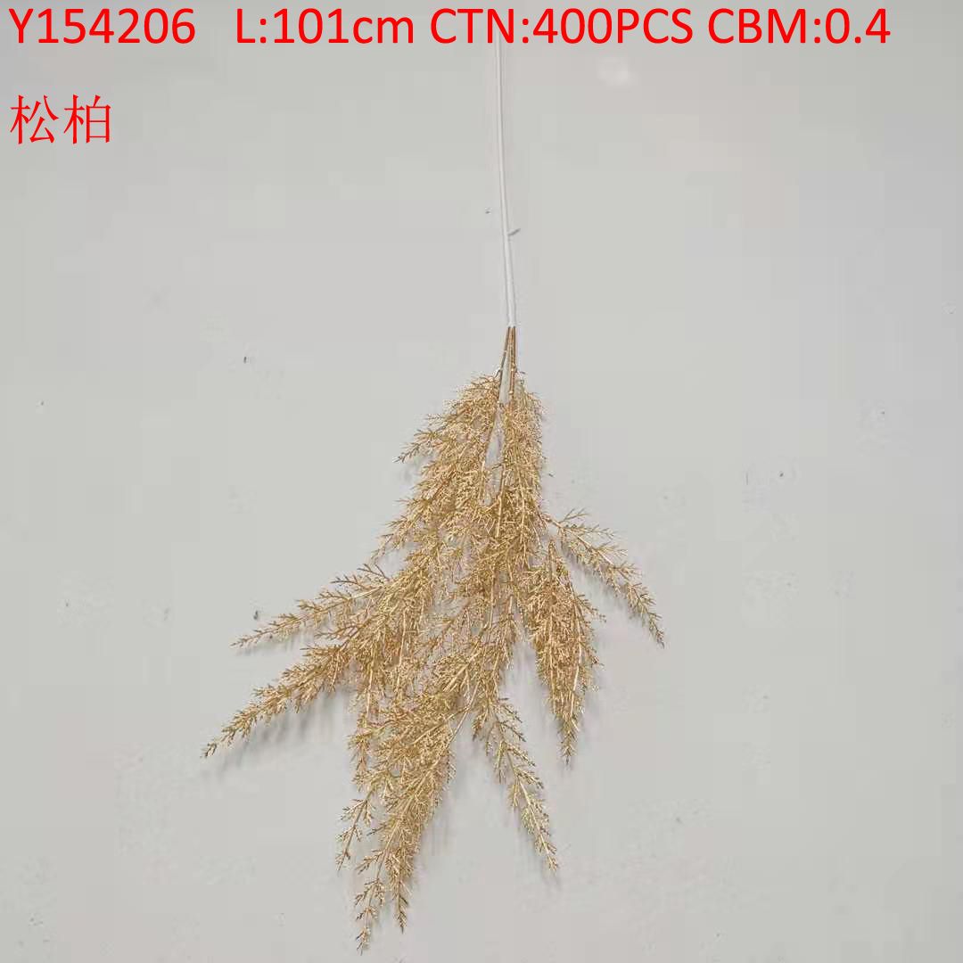 Pine Y154206