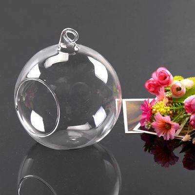 Manufacturers spot moss microlandscape containers glass bottles, cork bottles, tea cans, ecological bottles wholesale