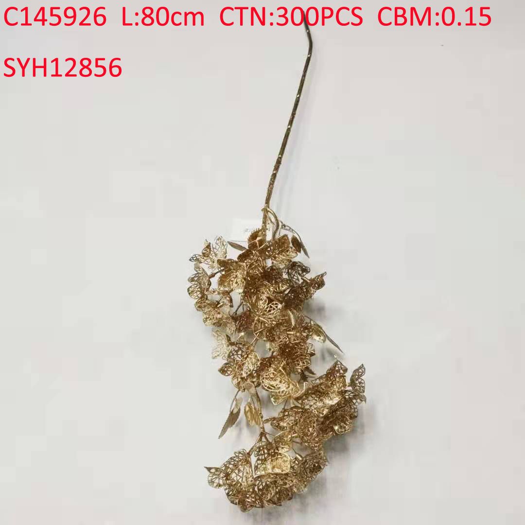SYH12856  C145926