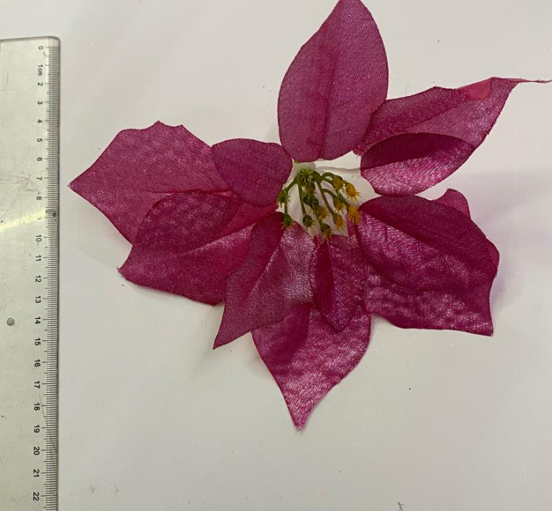 Christmas flower, white fruit, forked fruit artificial plant 11 details Picture