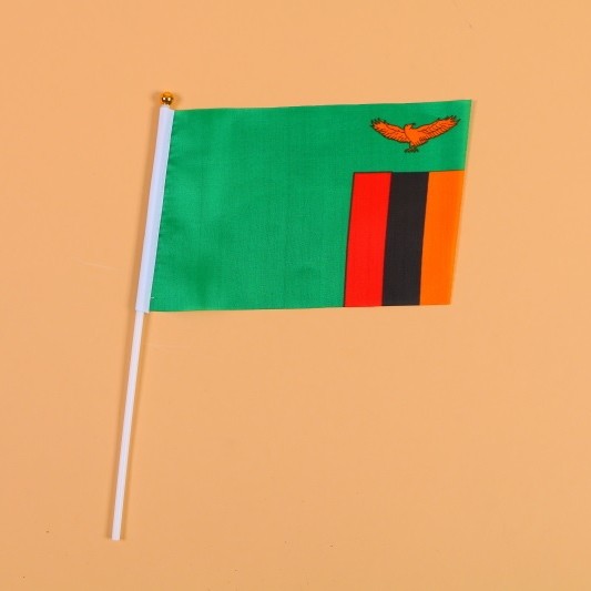 14*21赞比亚8号手摇旗带杆子外国世界旗详情1
