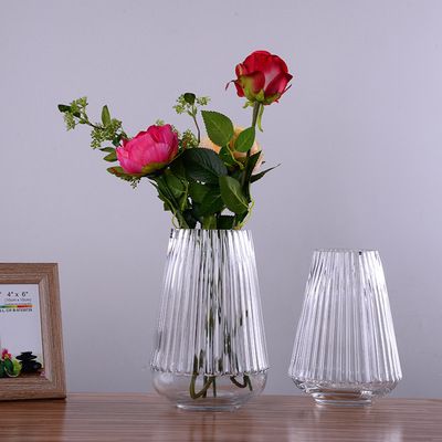 Spot vertical bar glass vase hydroponic ware fashion vase table decoration flower device decoration