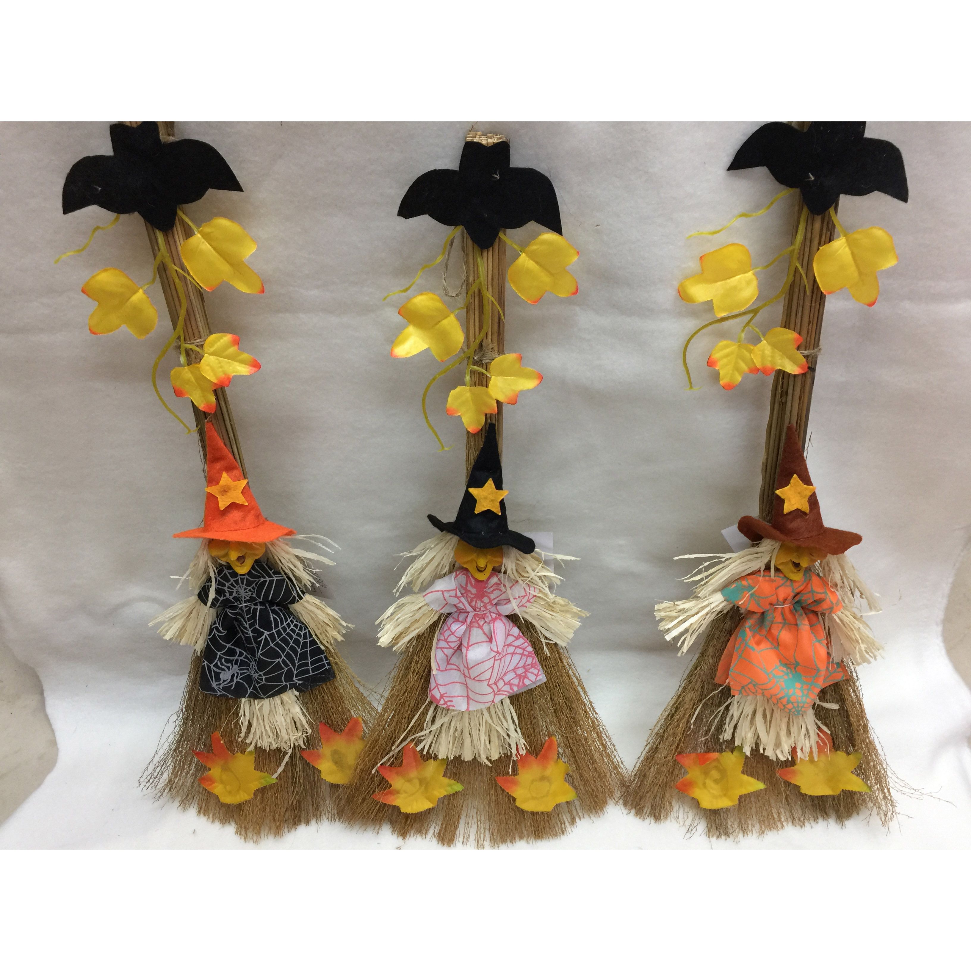 巫婆扫把 IMG_5762