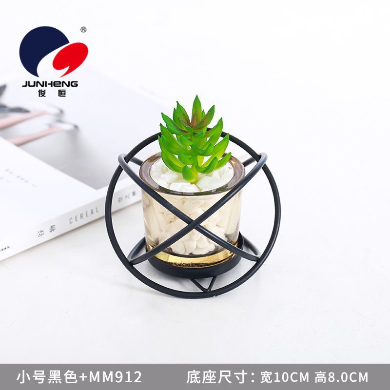 多肉植物小盆栽产品图