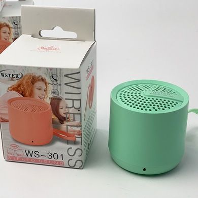 WS-301新款迷你无线蓝牙音箱户外便携式小低音炮音响详情图5