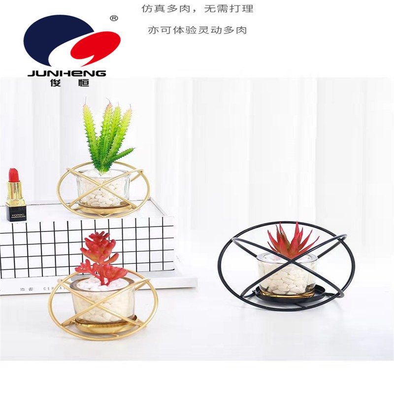 北欧仿真绿植假花多肉植物小盆栽ins摆设创意桌面书柜摆件装饰品详情图5