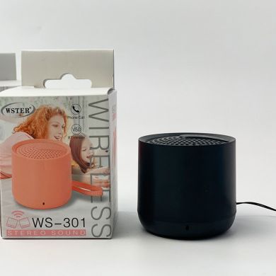 WS-301新款迷你无线蓝牙音箱户外便携式小低音炮音响详情图2