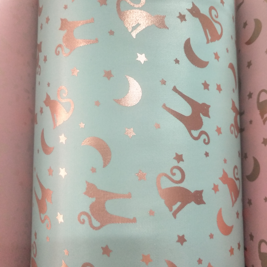 Stars meet cats, water Orchid