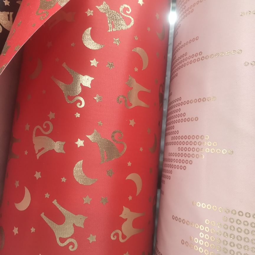 星星遇上猫大红，