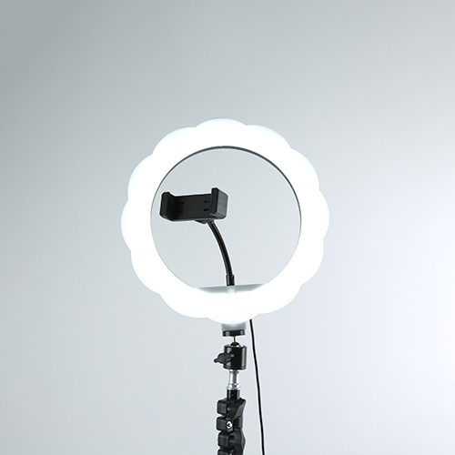 10-inch flower-shaped live streaming beauty lamp detail image 2
