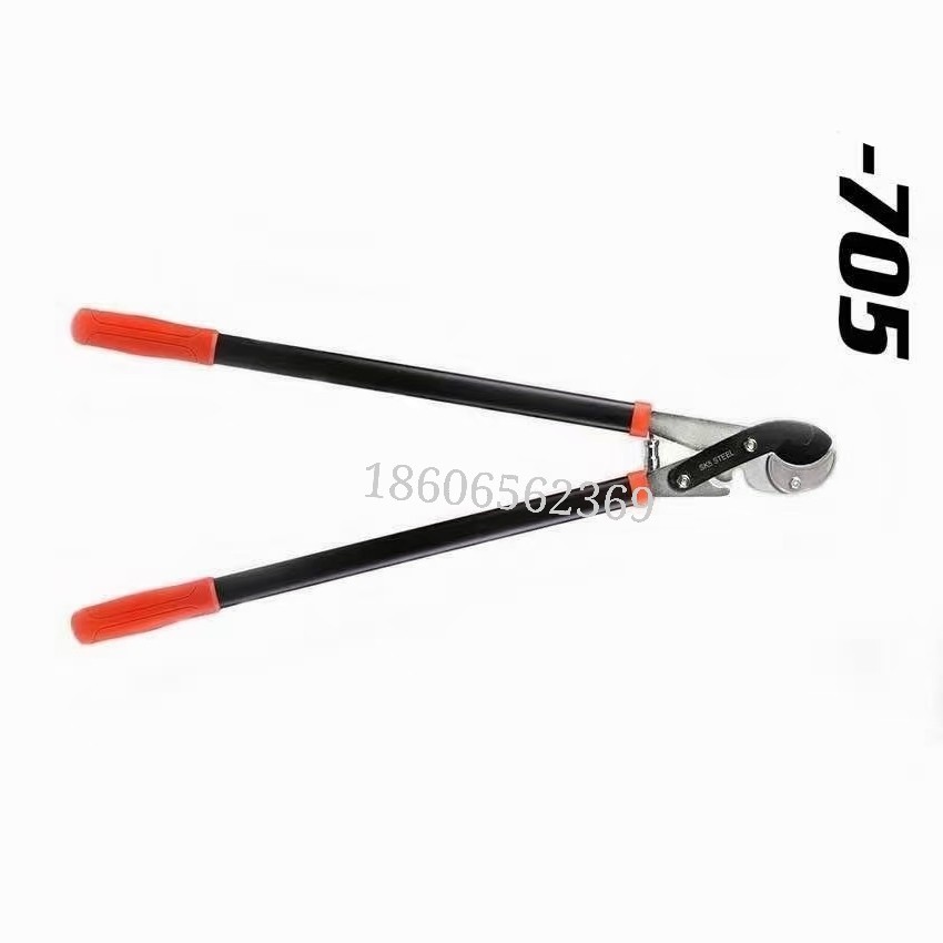 Garden Pruning Branch Pruning Fruit Pruning Manual Fruit Pruning 02 undefined