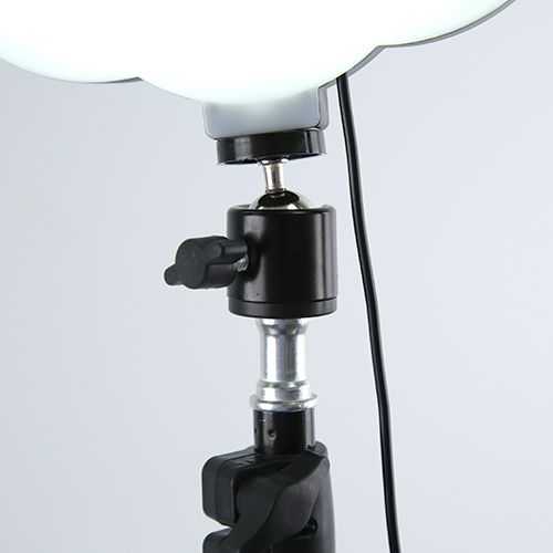 10-inch flower-shaped live streaming beauty lamp