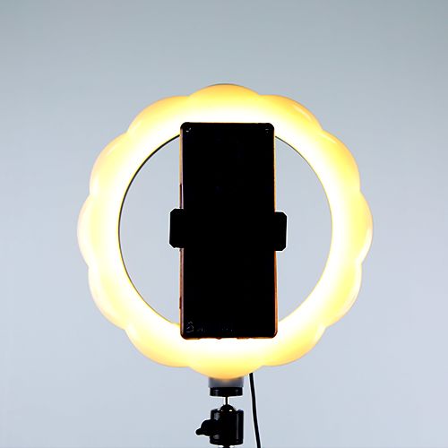 10-inch flower-shaped live streaming beauty lamp Application Scenario