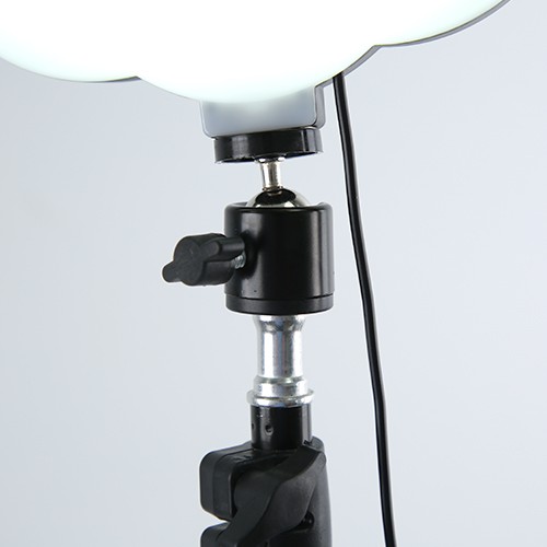 10-inch flower-shaped live streaming beauty lamp detail image 4