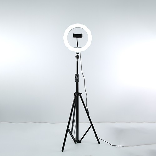 10-inch flower-shaped live streaming beauty lamp detail image 3