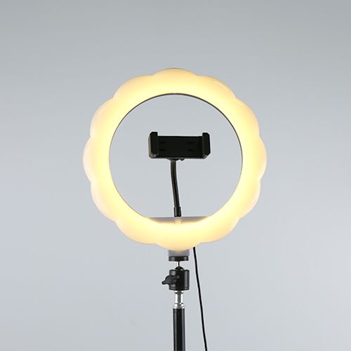 10-inch flower-shaped live streaming beauty lamp Specification image