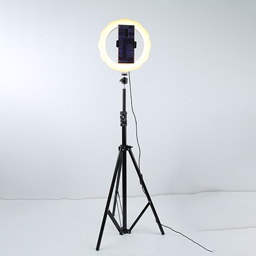 10-inch flower-shaped live streaming beauty lamp Item Picture