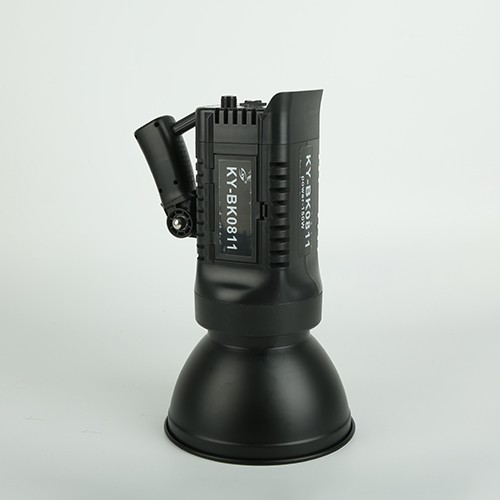 In the live-streaming room of Internet celebrities, there is a constant light for clothing hosts to promote products. The soft light is eye-protecting, beauty-enhancing and supplementary light is an integrated ball lamp detail image 1