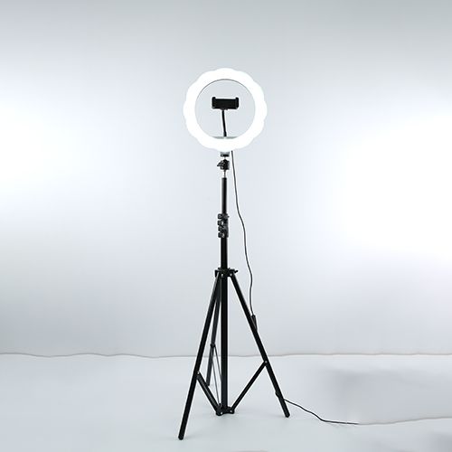 10-inch flower-shaped live streaming beauty lamp details Picture