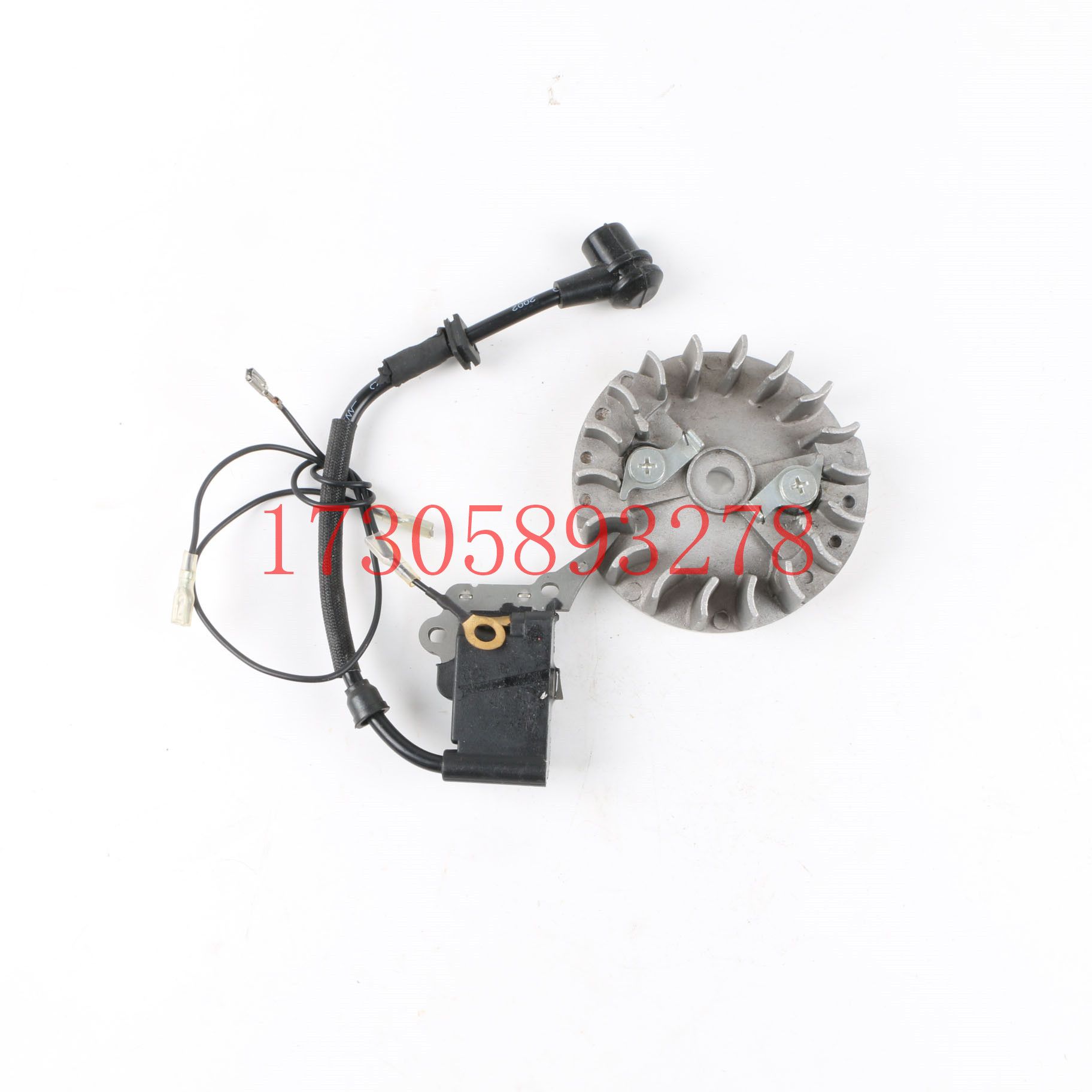 Chainsaw/lawn mower machine parts 2500 flywheel high-voltage package, other garden accessories