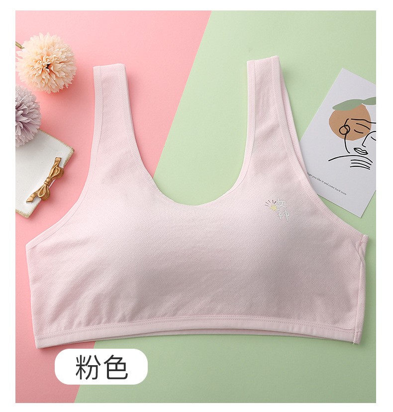 Girls' Development Bra With Breast Pad One-Piece Cup Middle And High School Cotton Breast Wrap Plus Size Top Bra undefined