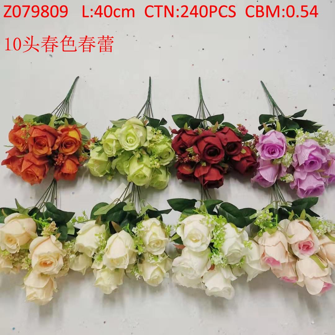 Z079809 thumbnail